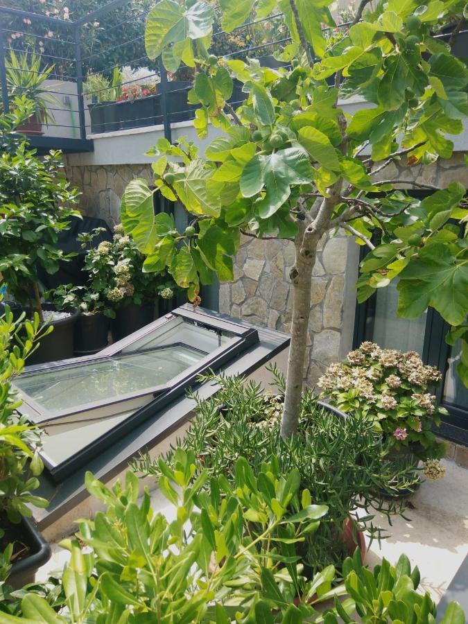 Artspace Location-Opatija-3 Bedroom House With Rooftop Garden By Beach Ngoại thất bức ảnh