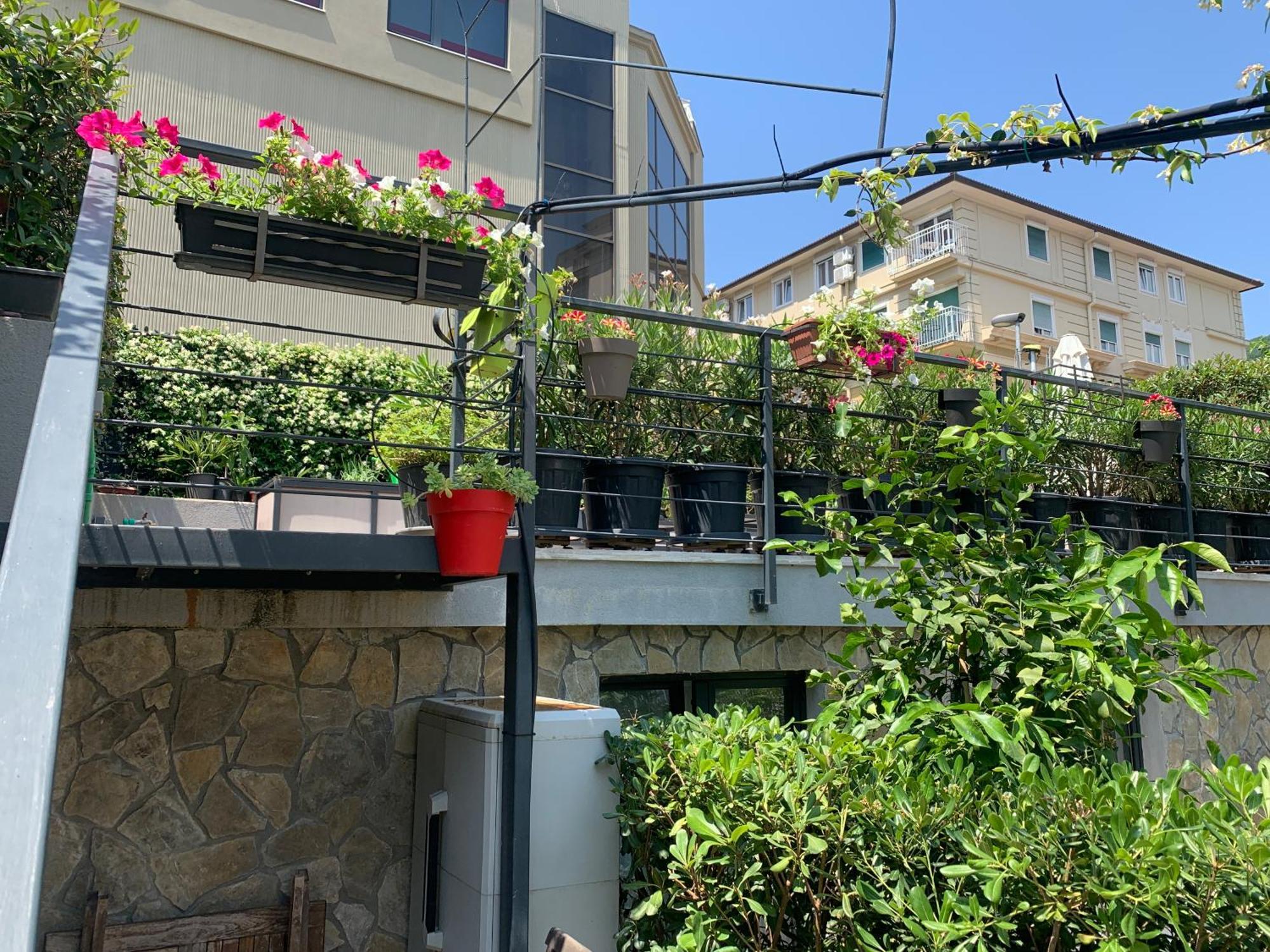 Artspace Location-Opatija-3 Bedroom House With Rooftop Garden By Beach Ngoại thất bức ảnh