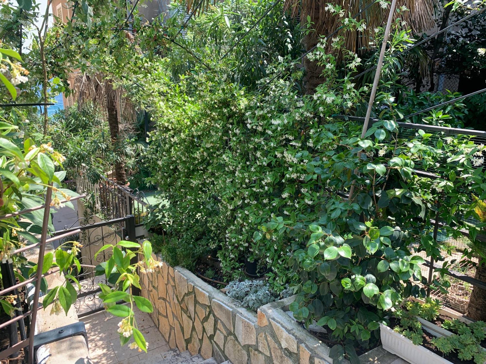 Artspace Location-Opatija-3 Bedroom House With Rooftop Garden By Beach Ngoại thất bức ảnh